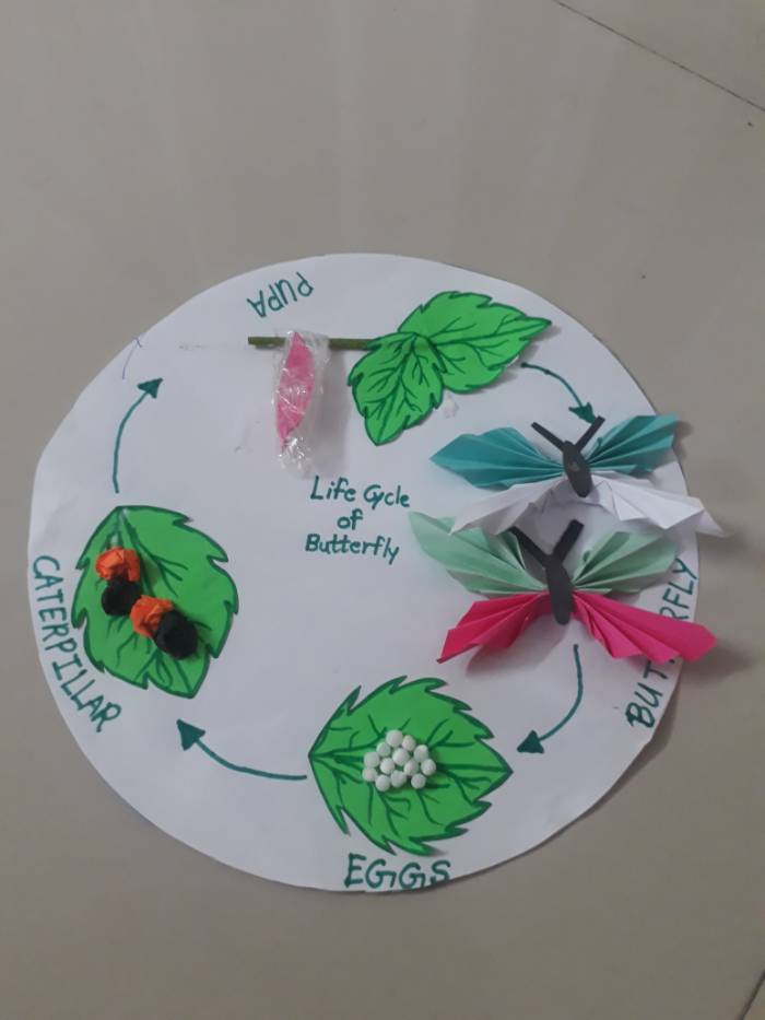 Science Activity for Grade 4th students - 2021 - gangapur
